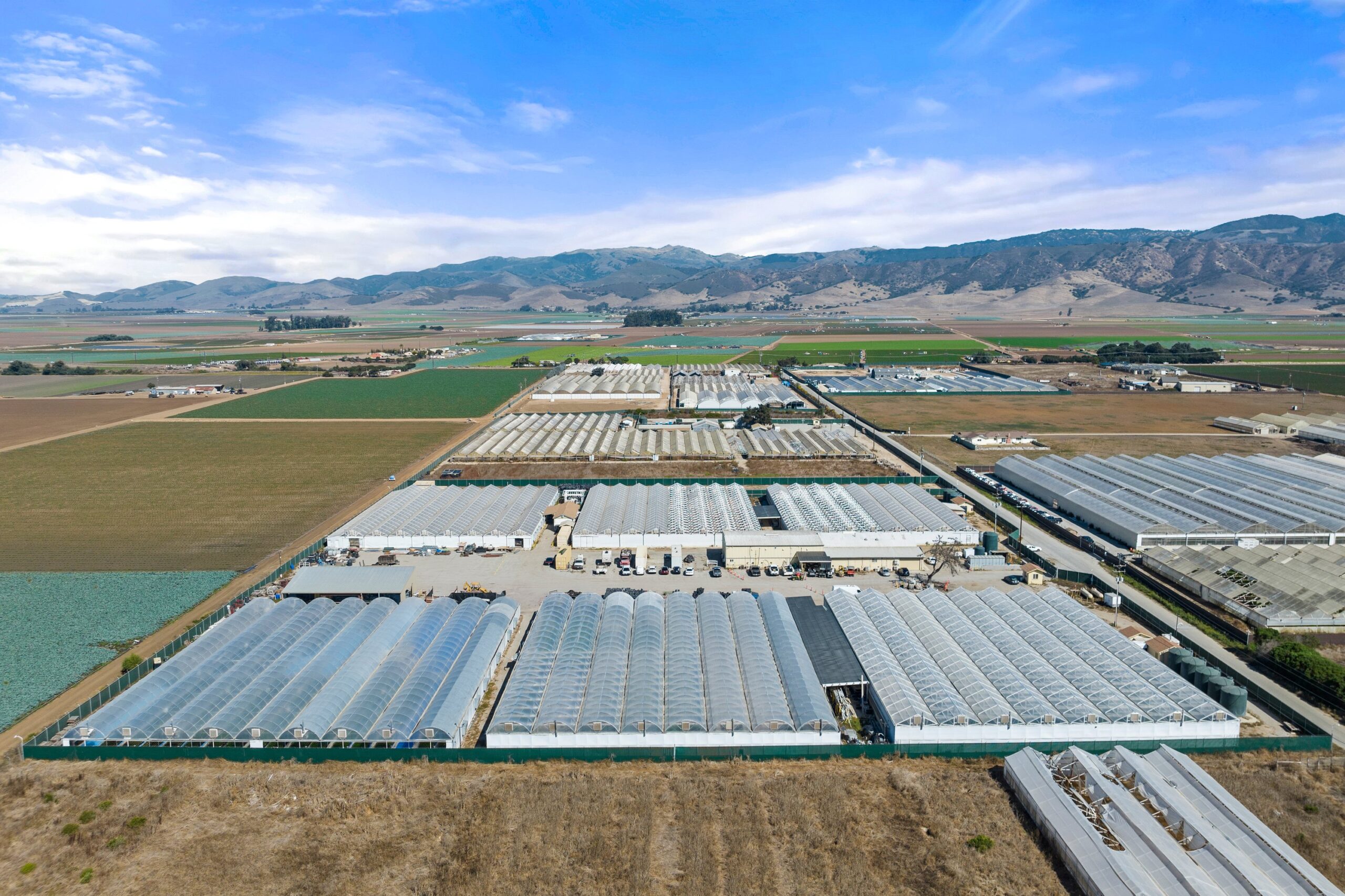 Large-scale cannabis cultivation operation in California