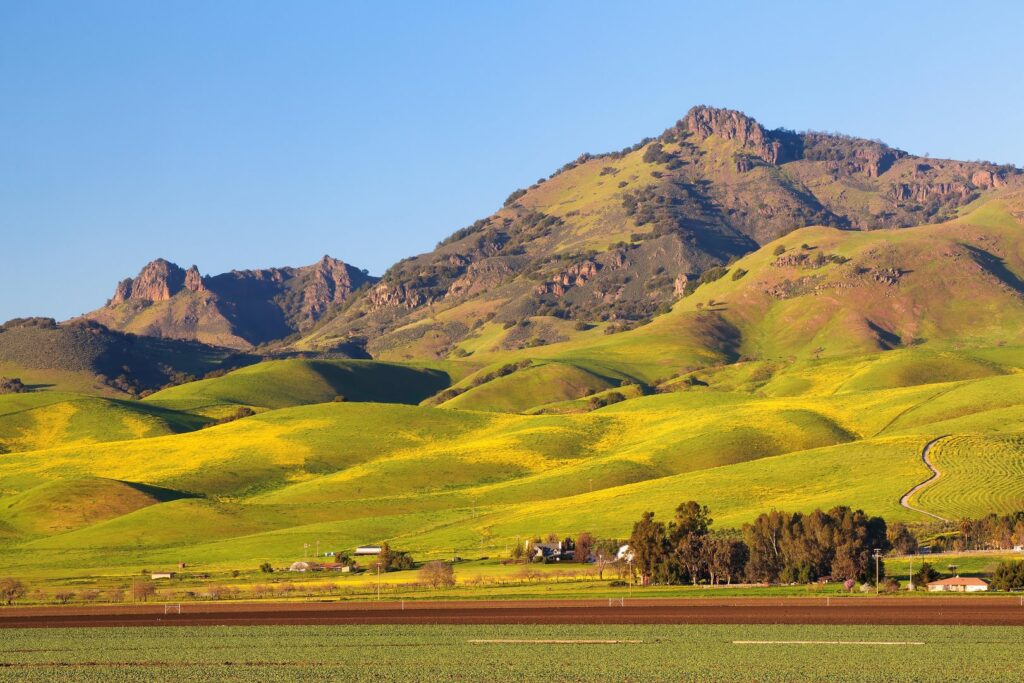Agricultural fields and Santa Ana Peak in San Benito County, California